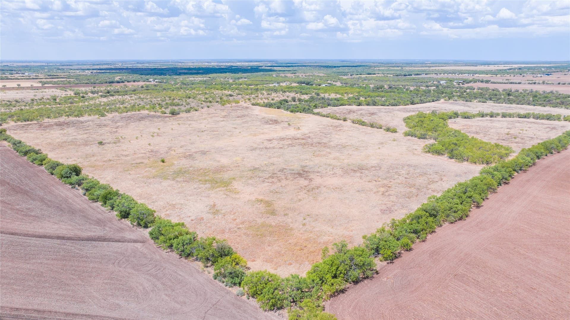 84.1 acres in Shackelford County - photo 17