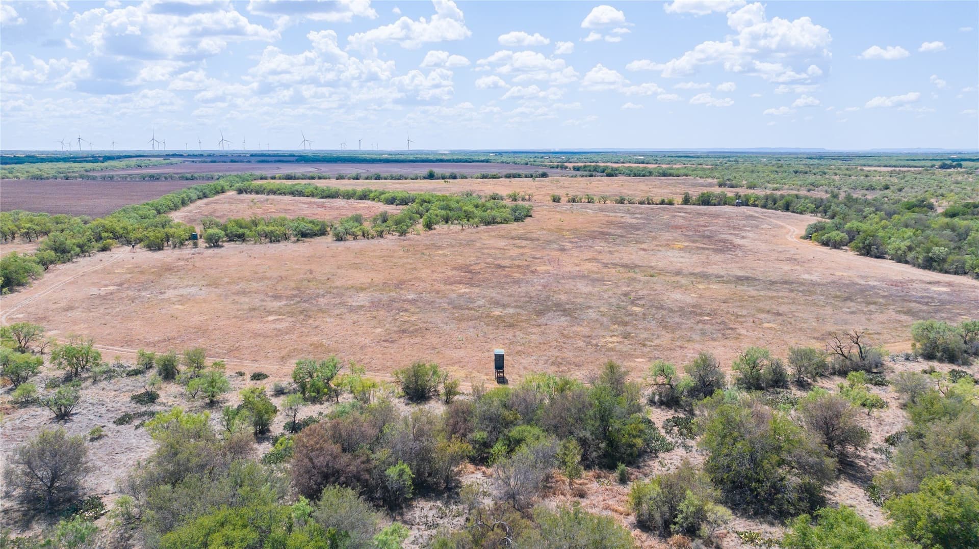 84.1 acres in Shackelford County - photo 9