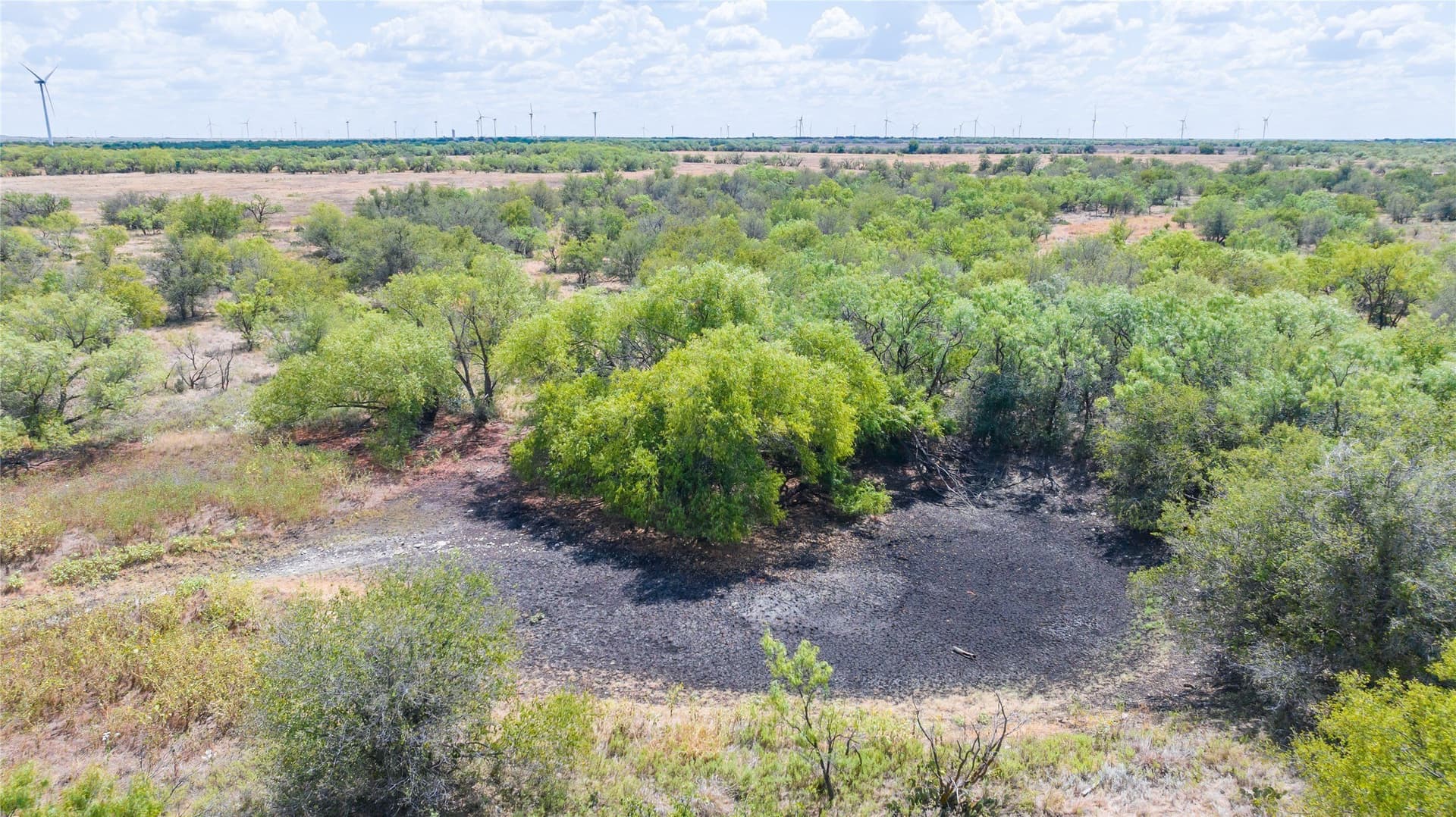 84.1 acres in Shackelford County - photo 35