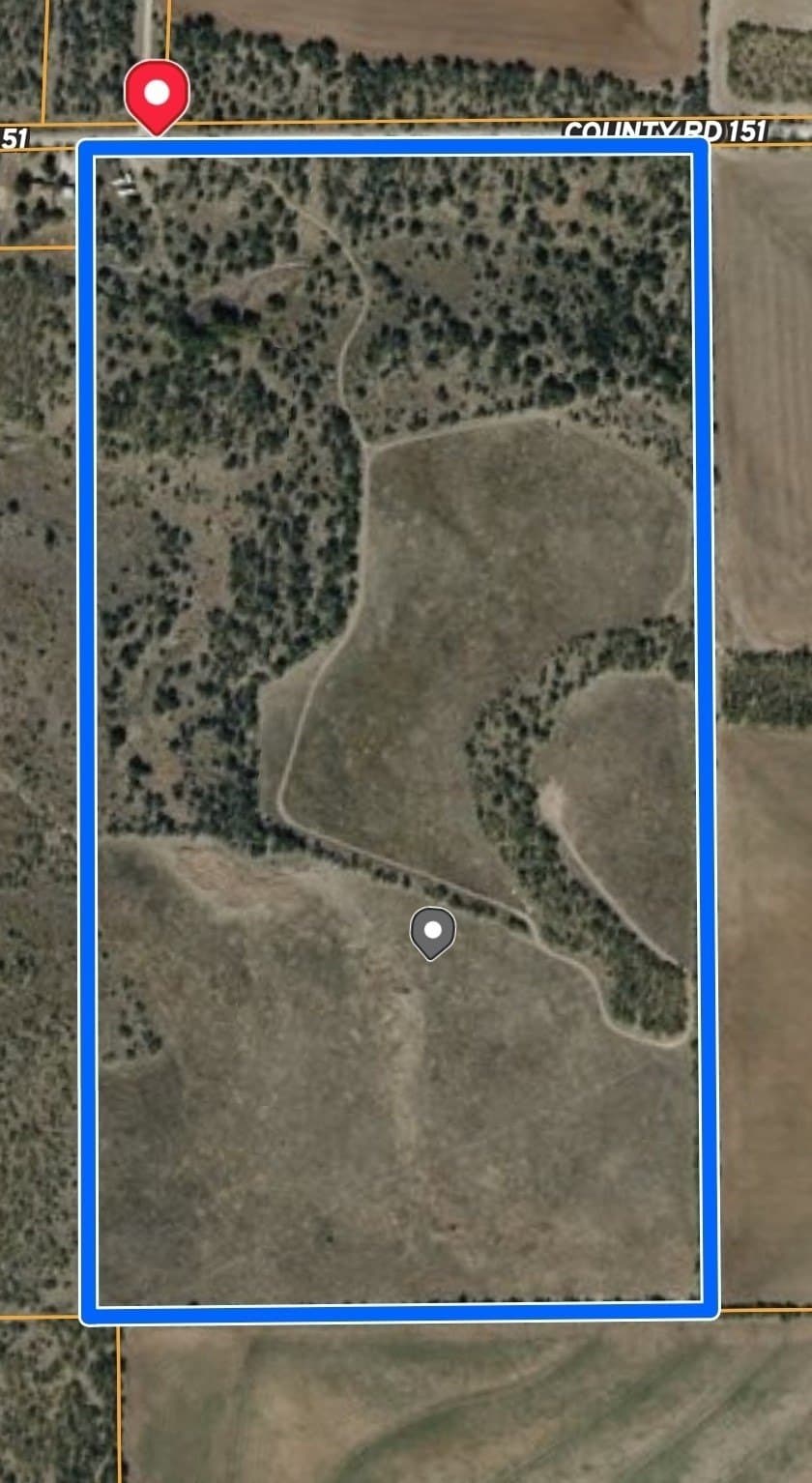 84.1 acres in Shackelford County - photo 3