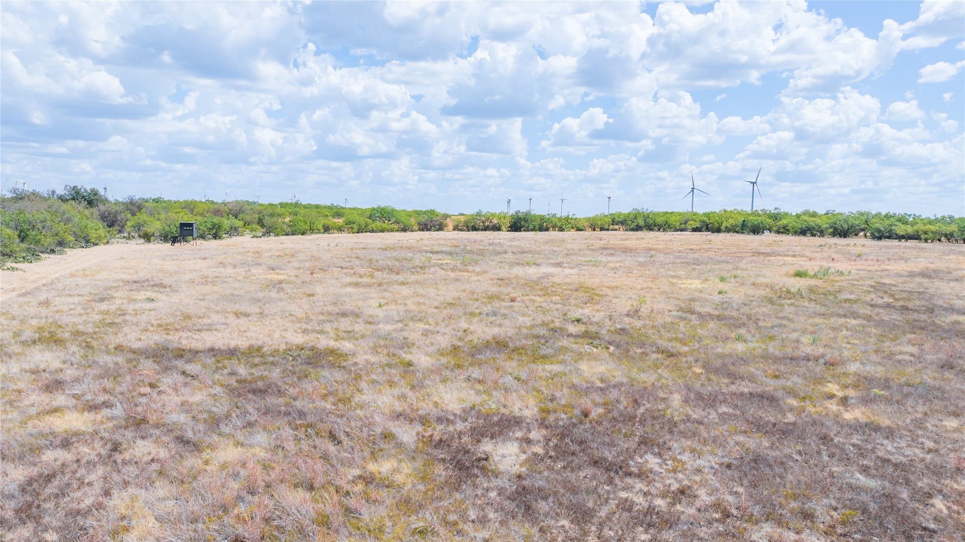 84.1 acres in Shackelford County - photo 29