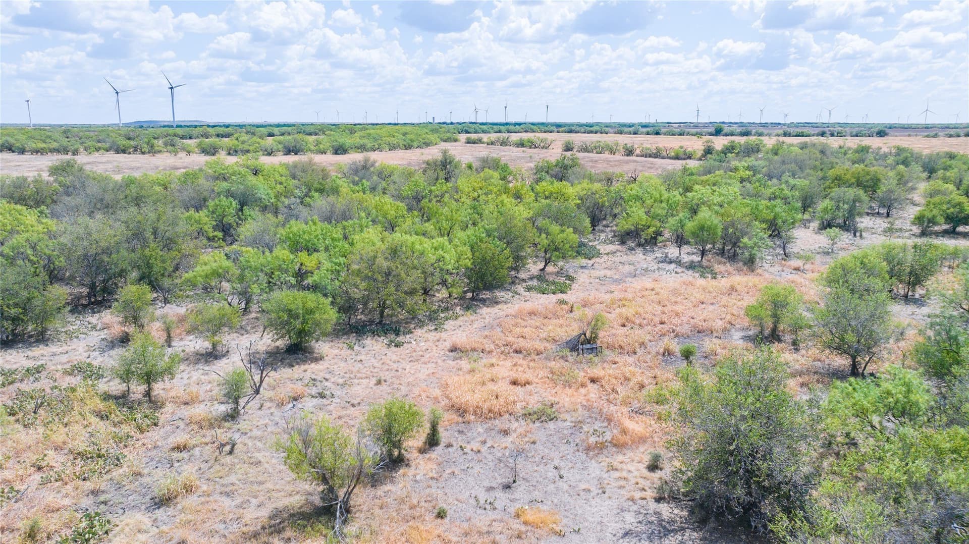84.1 acres in Shackelford County - photo 26