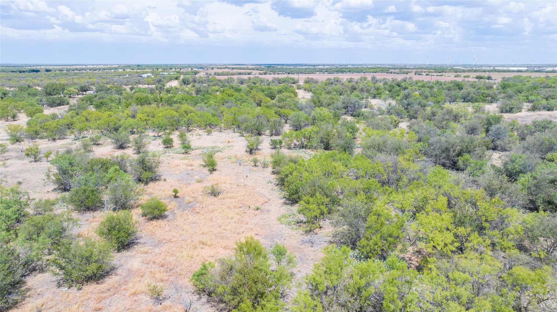 84.1 acres in Shackelford County - photo 25