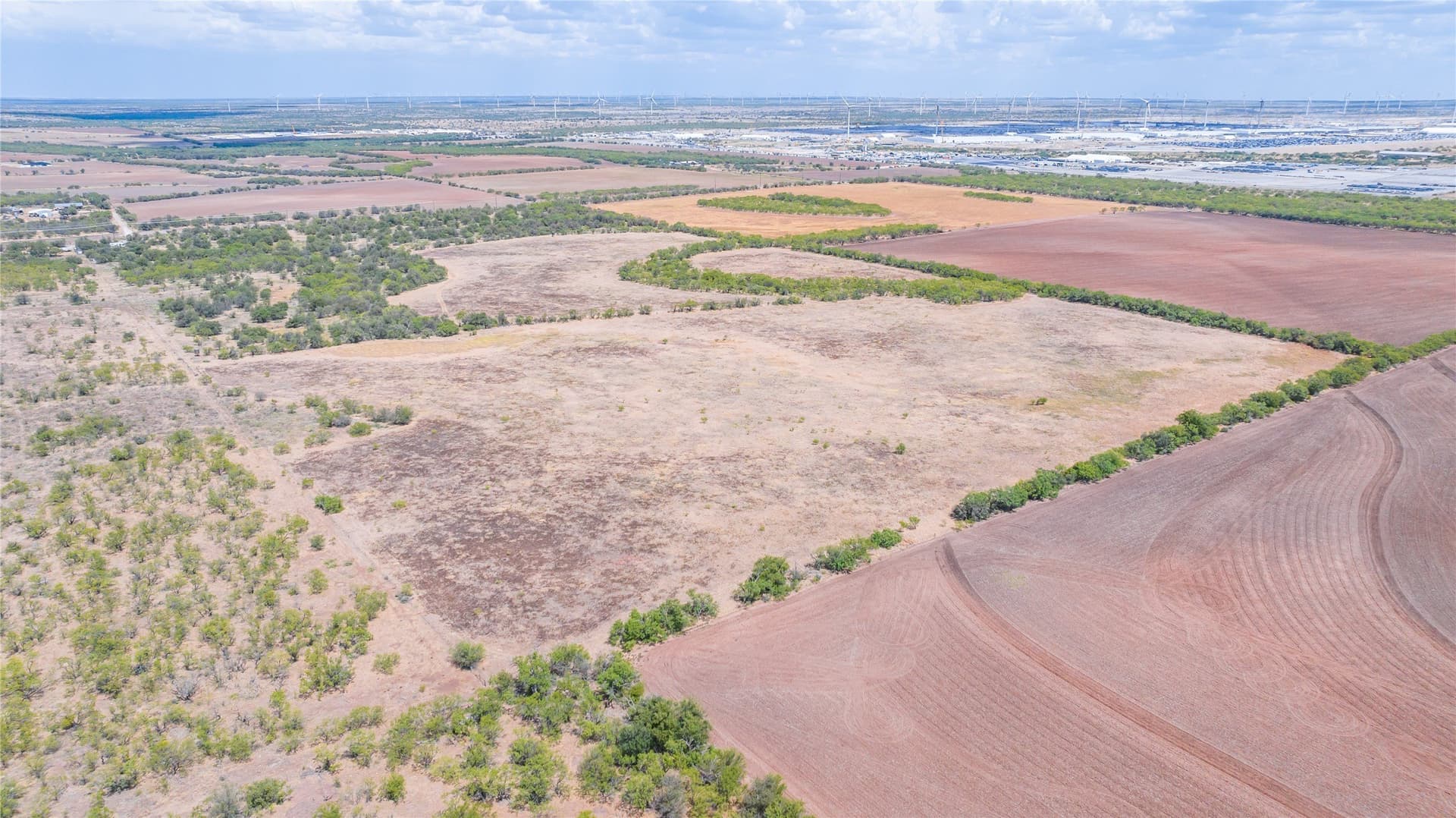 84.1 acres in Shackelford County - photo 19