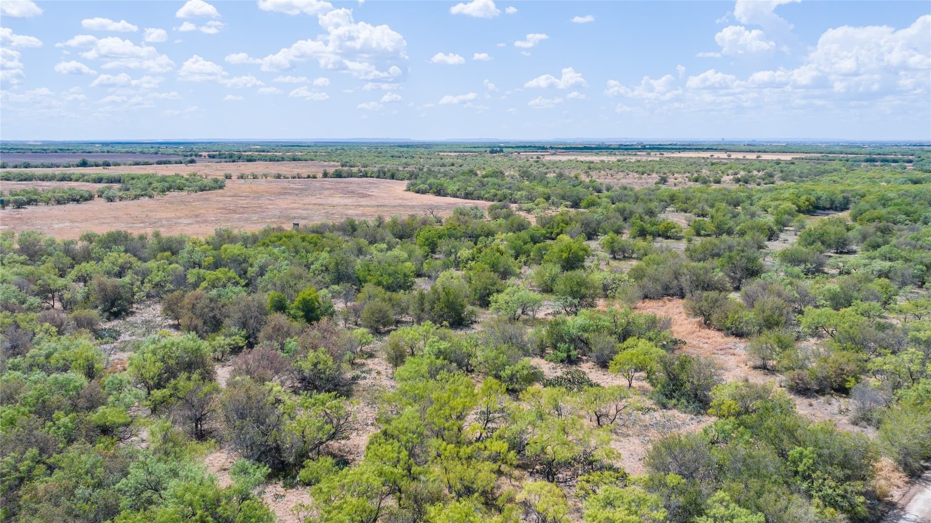 84.1 acres in Shackelford County - photo 7