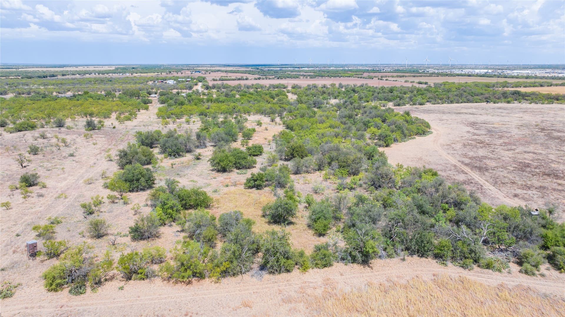 84.1 acres in Shackelford County - photo 22