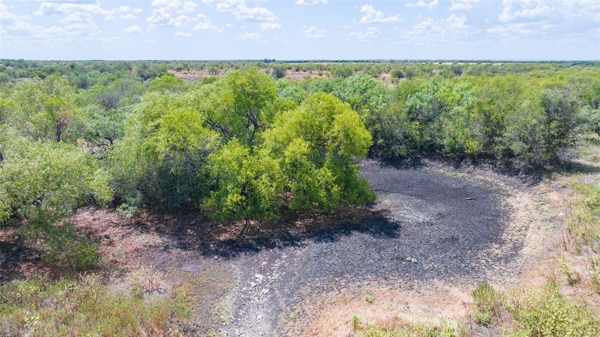 84.1 acres in Shackelford County - photo 34
