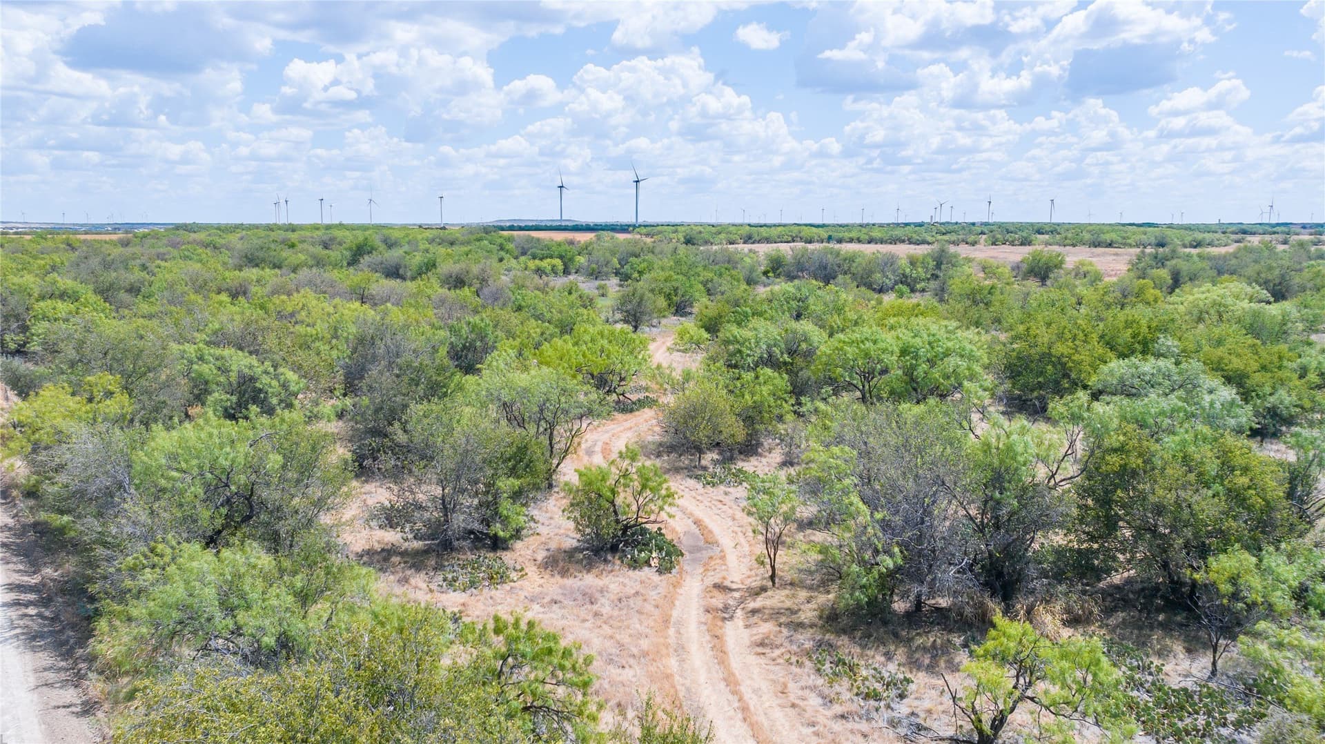 84.1 acres in Shackelford County - photo 39