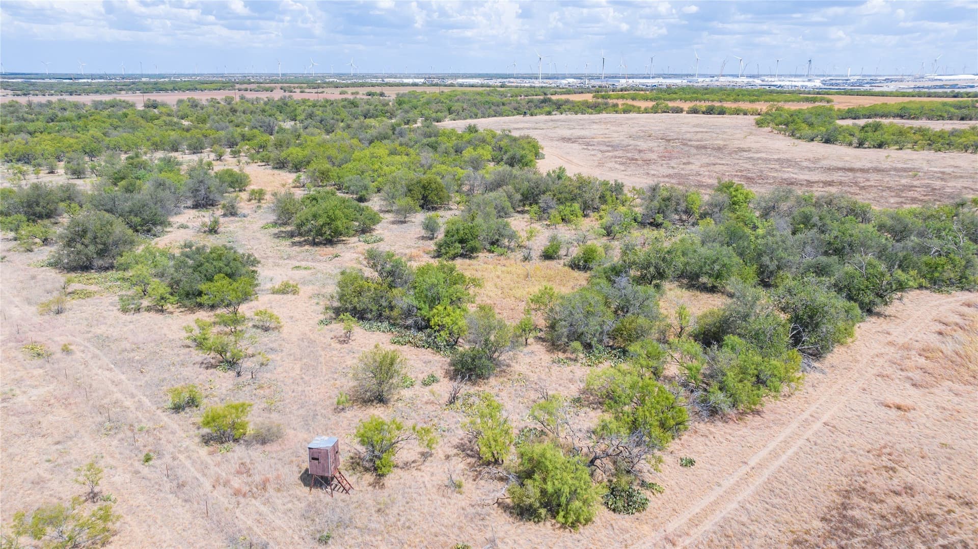 84.1 acres in Shackelford County - photo 23