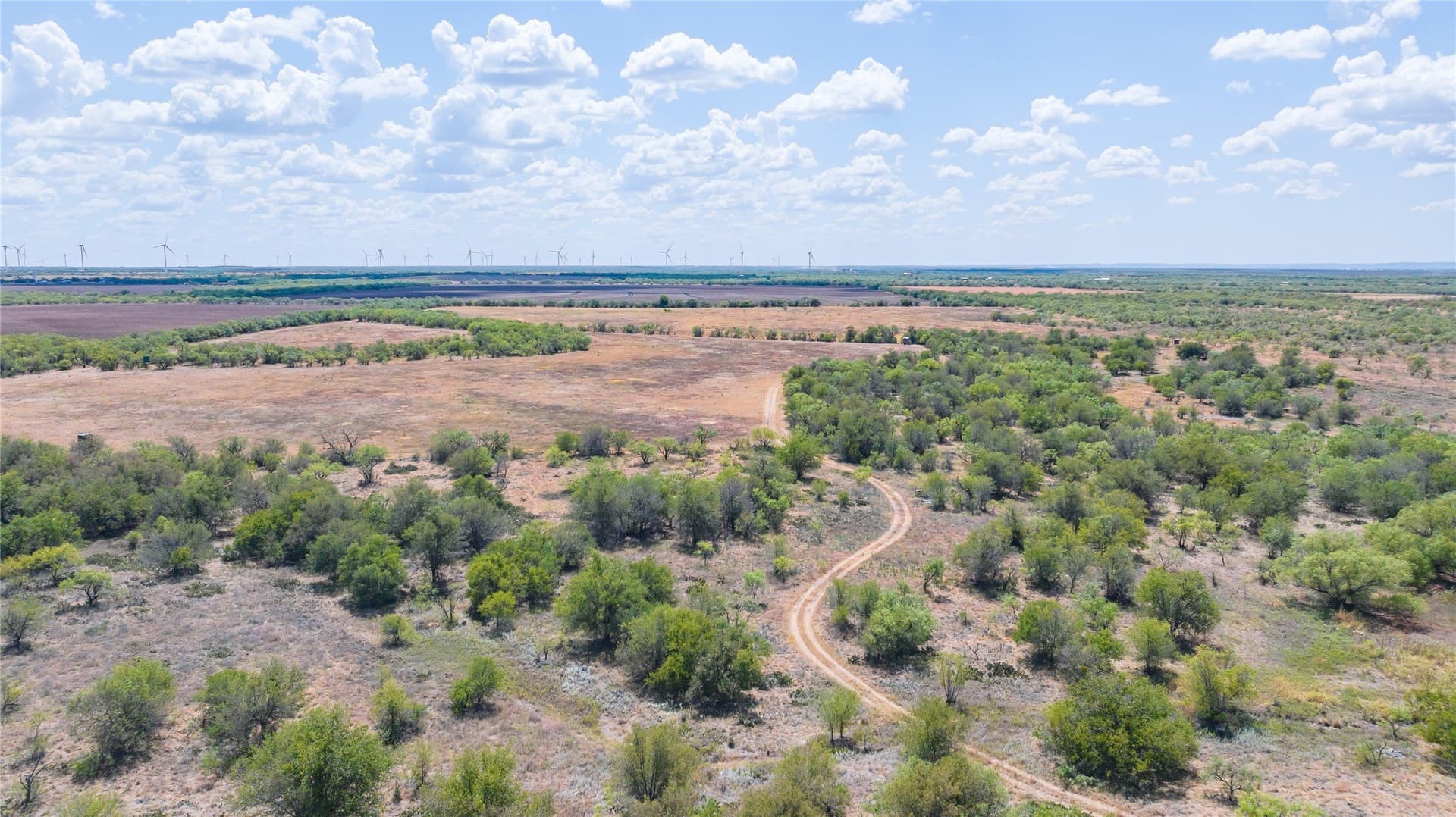 84.1 acres in Shackelford County - photo 4