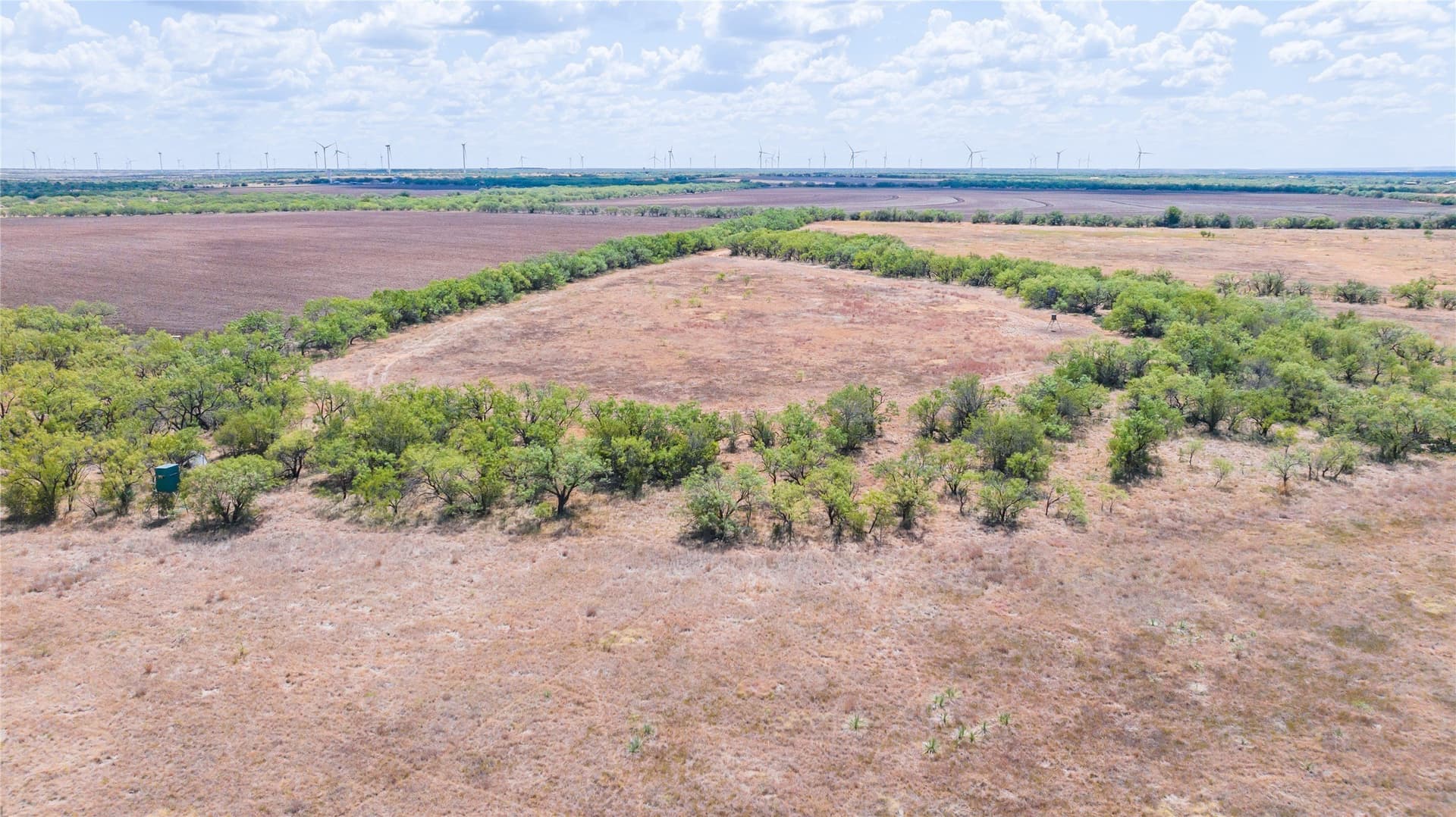 84.1 acres in Shackelford County - photo 12