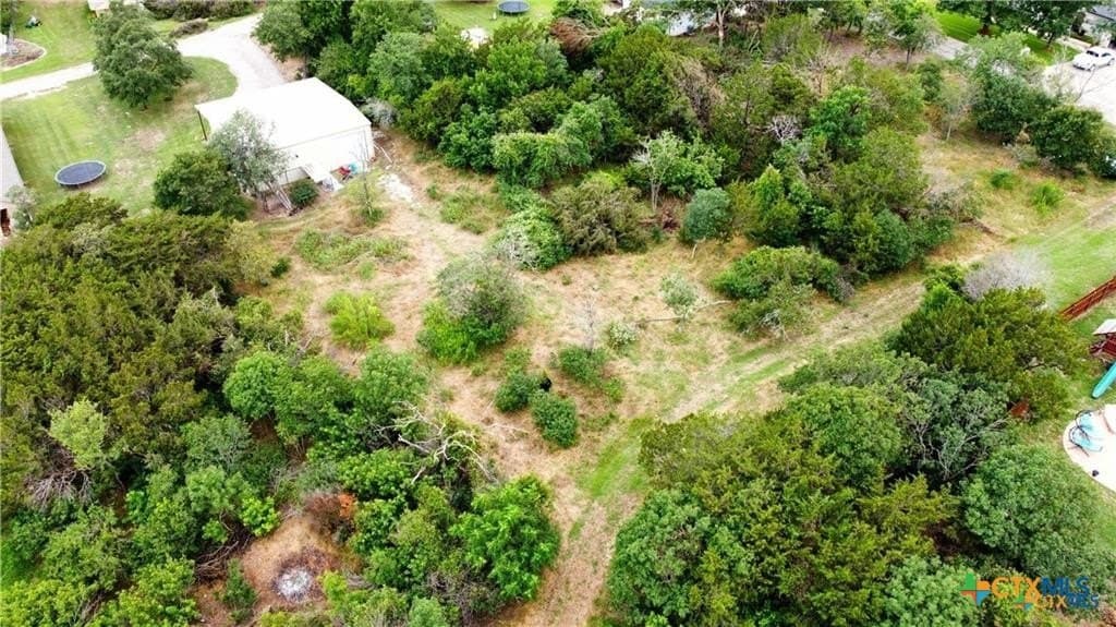 0.26 acres in Bell County - photo 3