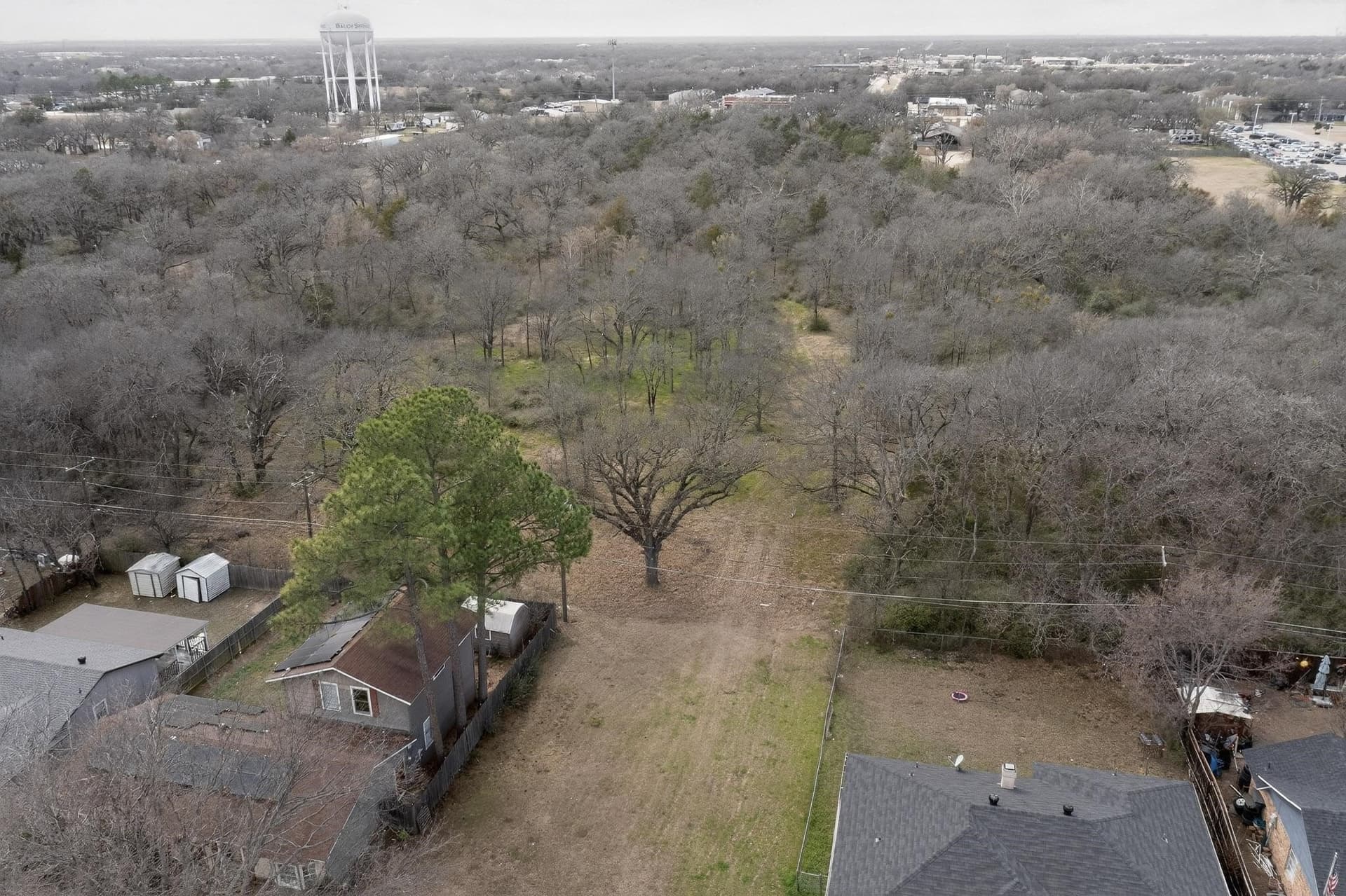 0.16 acres in Dallas County - photo 10