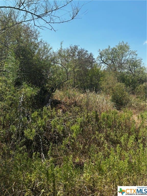 5.7 acres in Wilson County gallery image 3