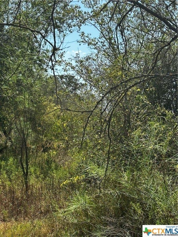 5.7 acres in Wilson County gallery image 4