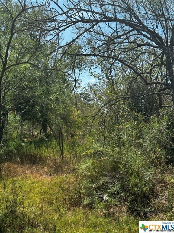 5.7 acres in Wilson County gallery image 2