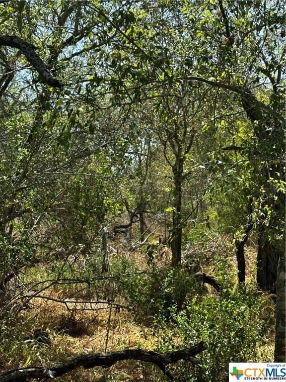 5.7 acres in Wilson County featured view