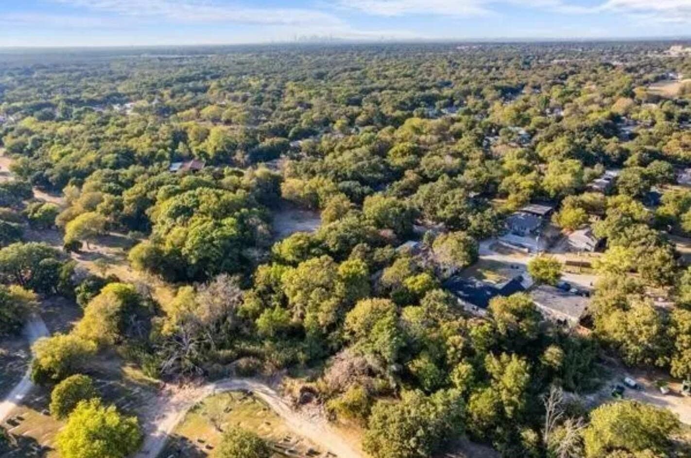 0.32 acres in Dallas County - photo 6