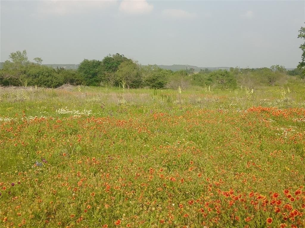 66.85 acres in Bosque County featured view
