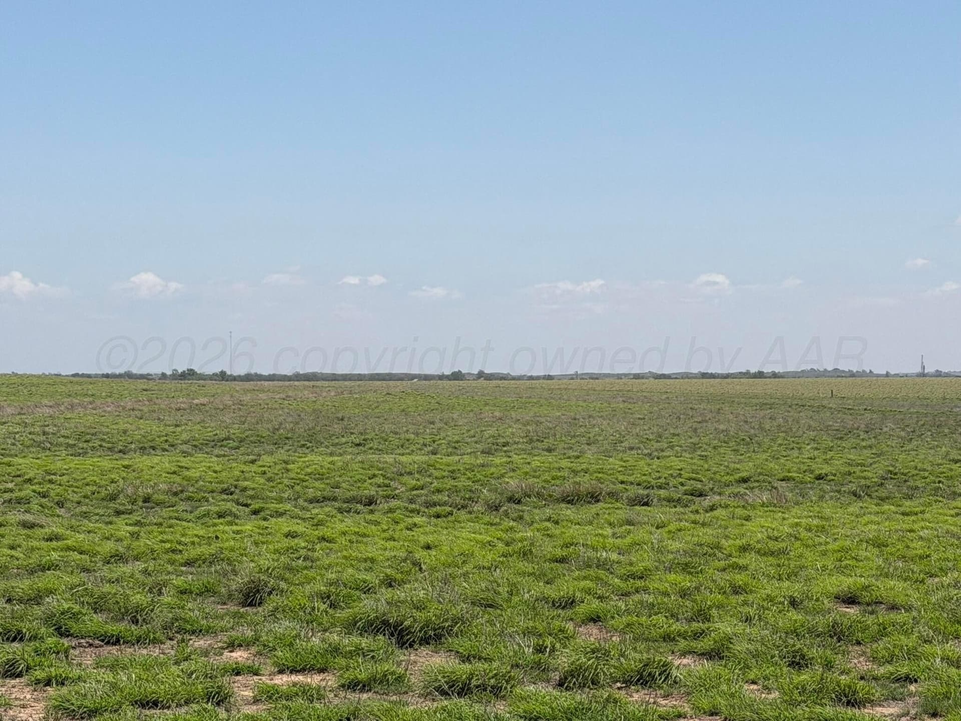380 acres in Wheeler County gallery image 3
