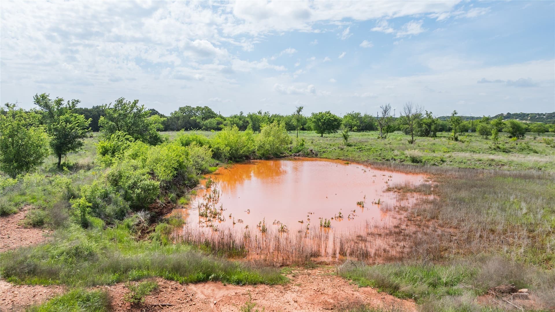 47.23 acres in Taylor County - photo 11