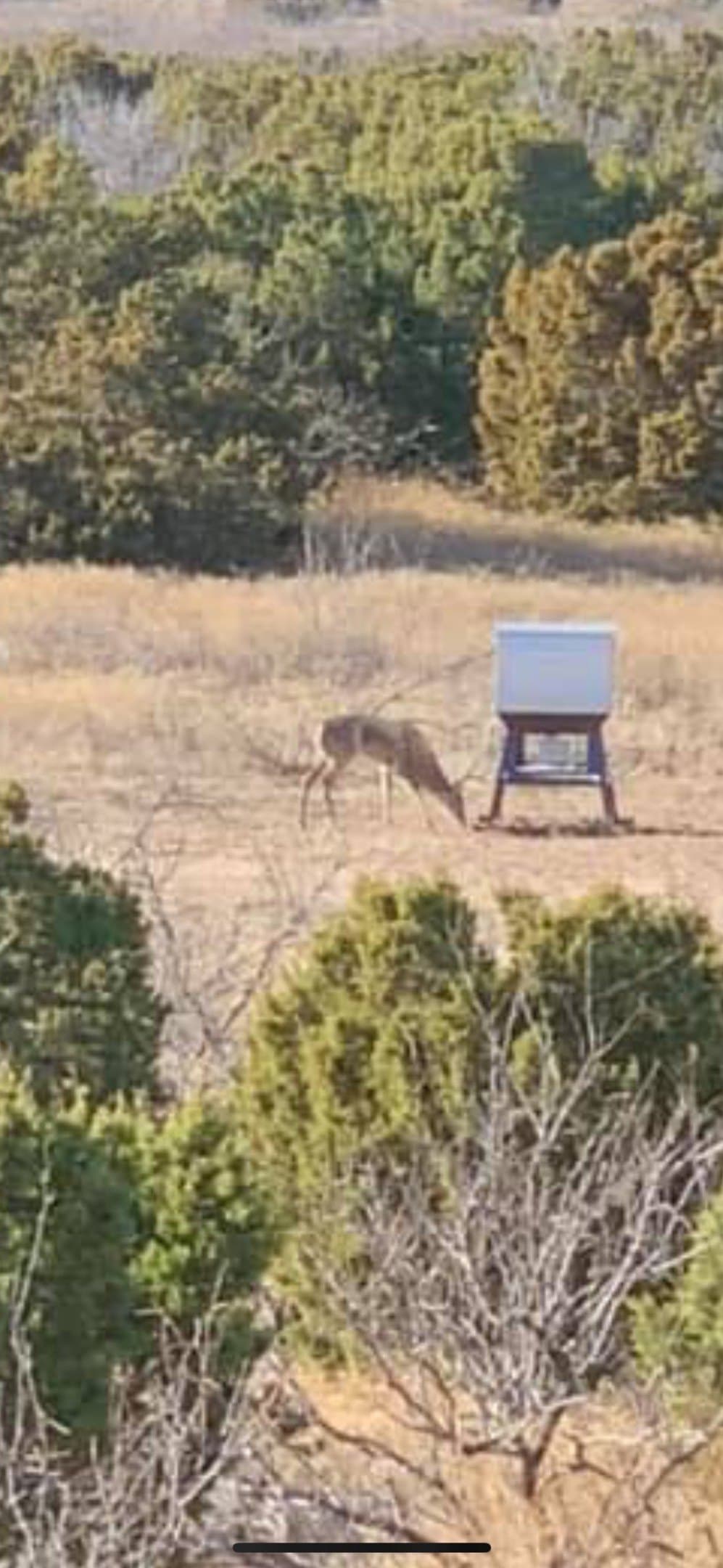 10.1 acres in Parker County - photo 4