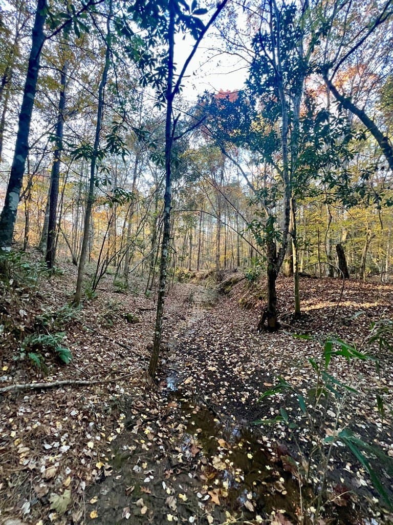 15 acres in Texas County - photo 25