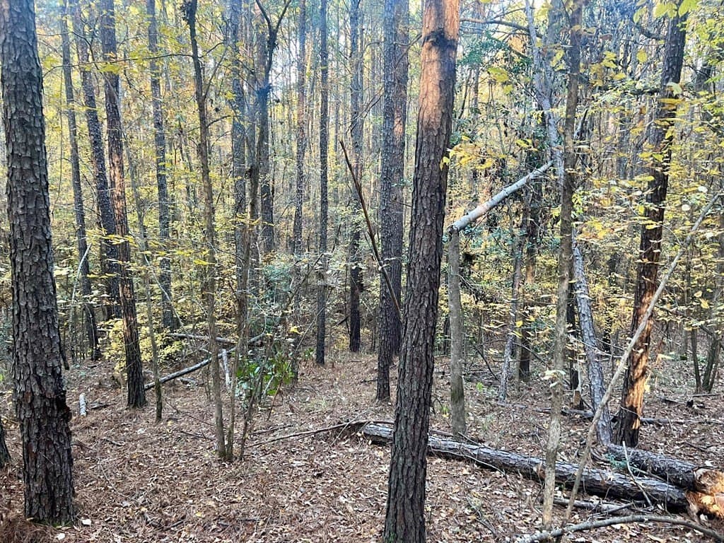 15 acres in Texas County - photo 8