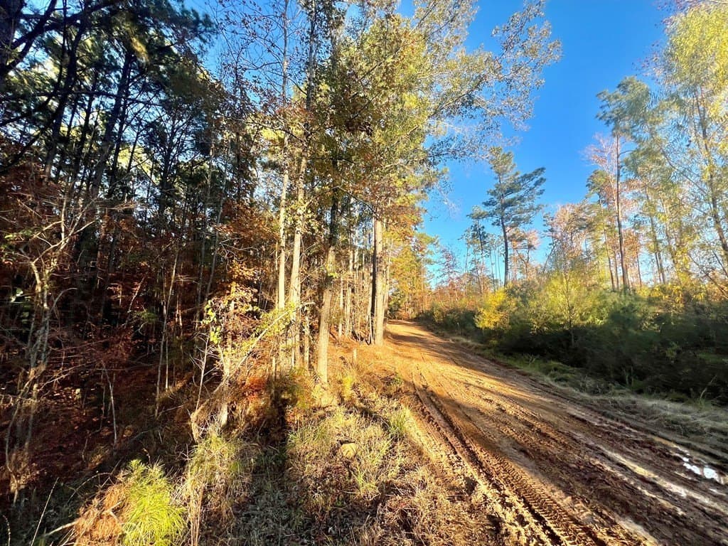 15 acres in Texas County - photo 34