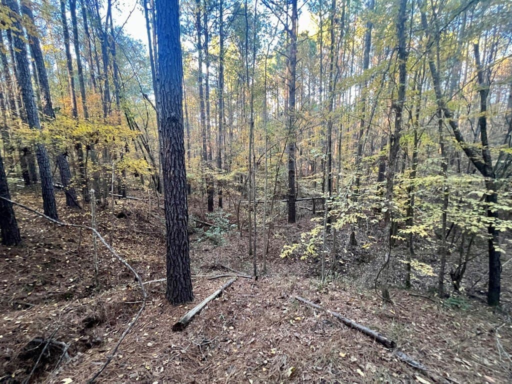 15 acres in Texas County - photo 12