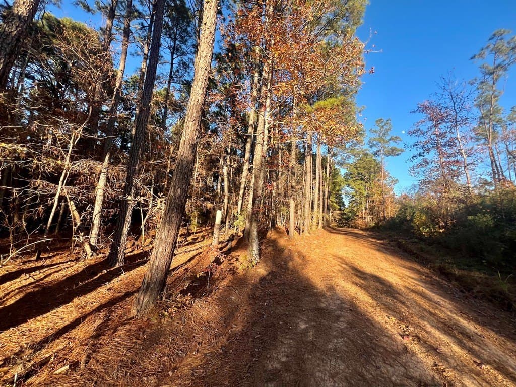 15 acres in Texas County - photo 36