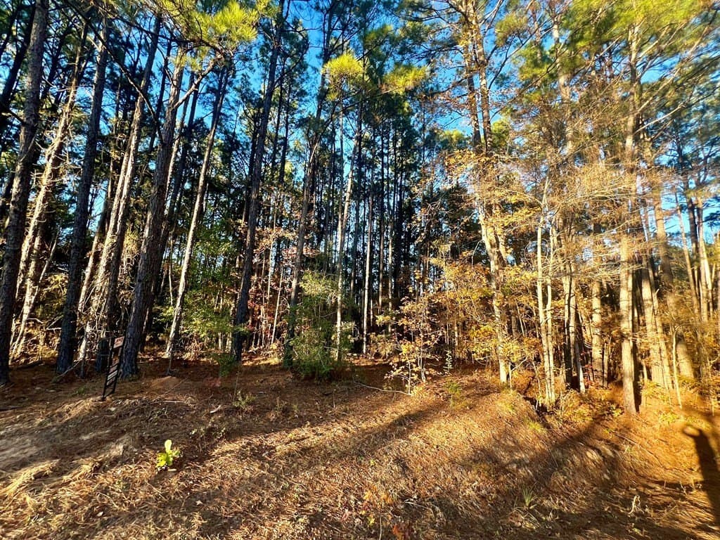 15 acres in Texas County - photo 37