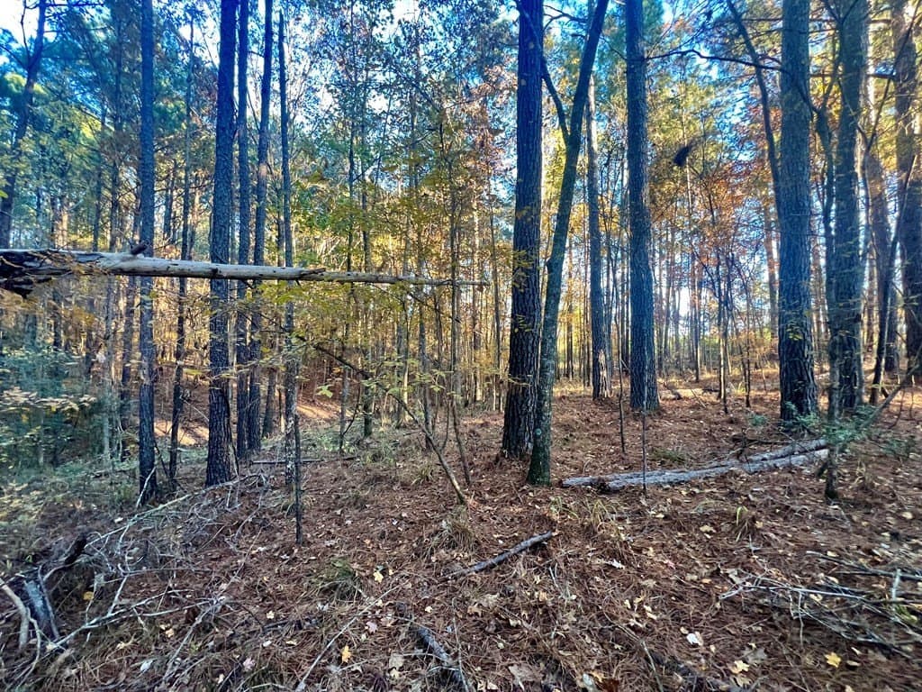 15 acres in Texas County - photo 32