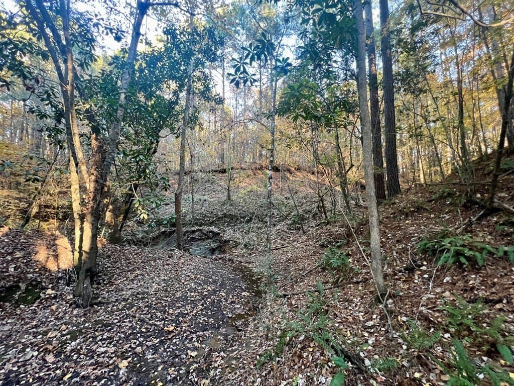 15 acres in Texas County - photo 27