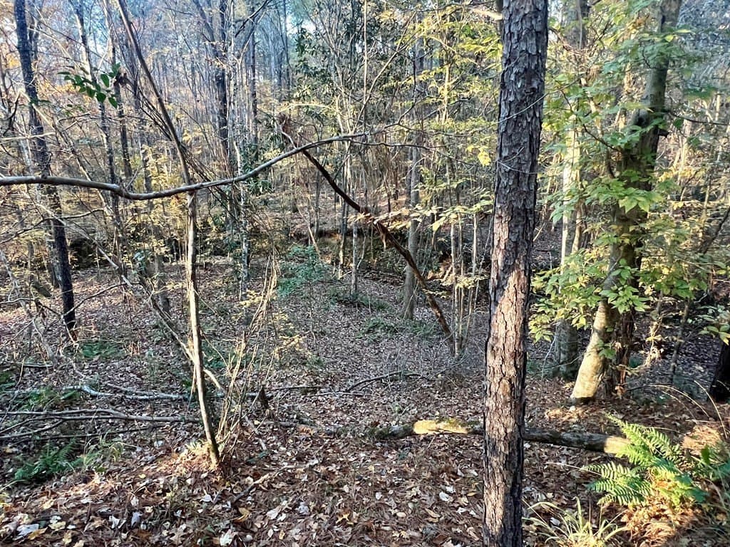 15 acres in Texas County - photo 30
