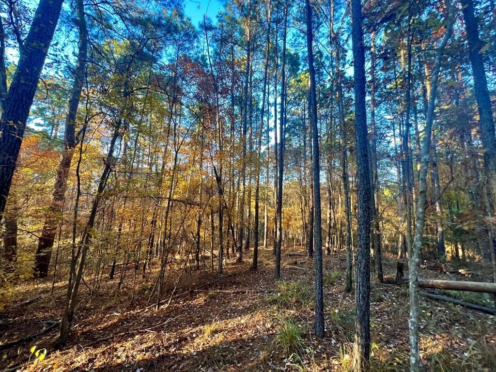 15 acres in Texas County - photo 31