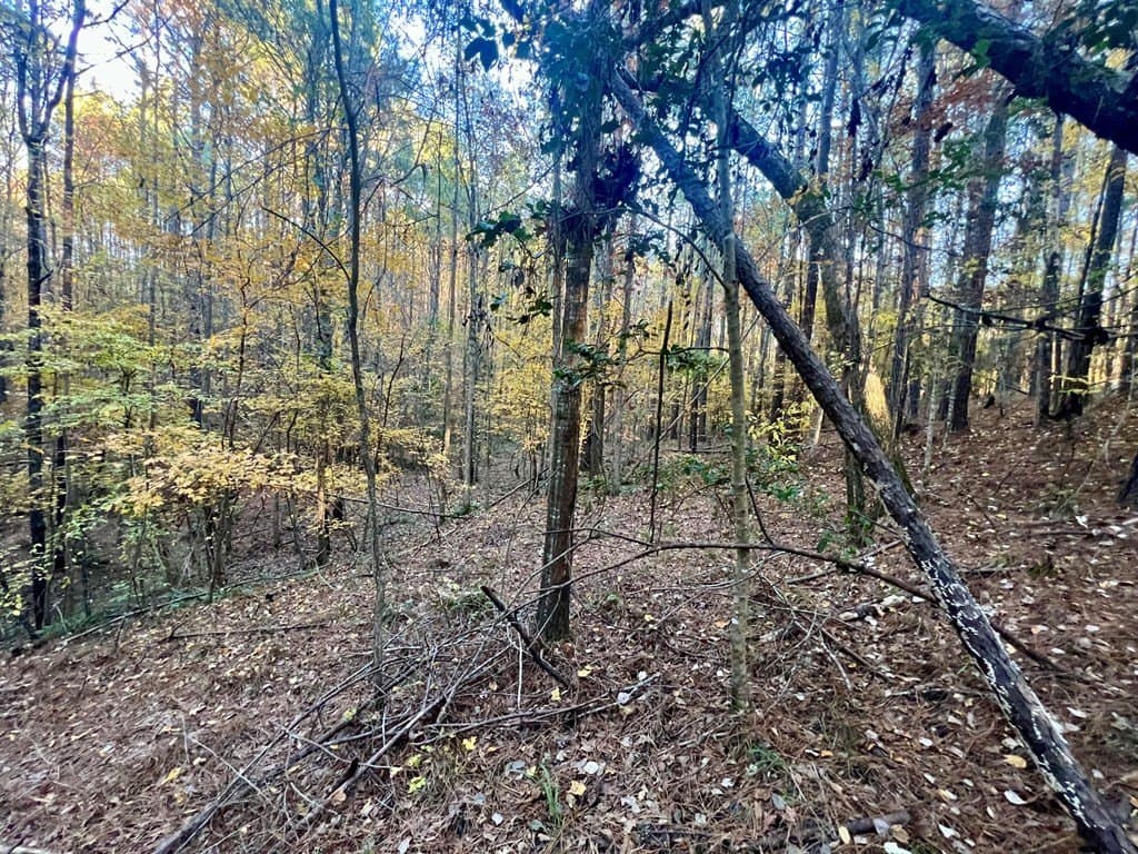 15 acres in Texas County - photo 11