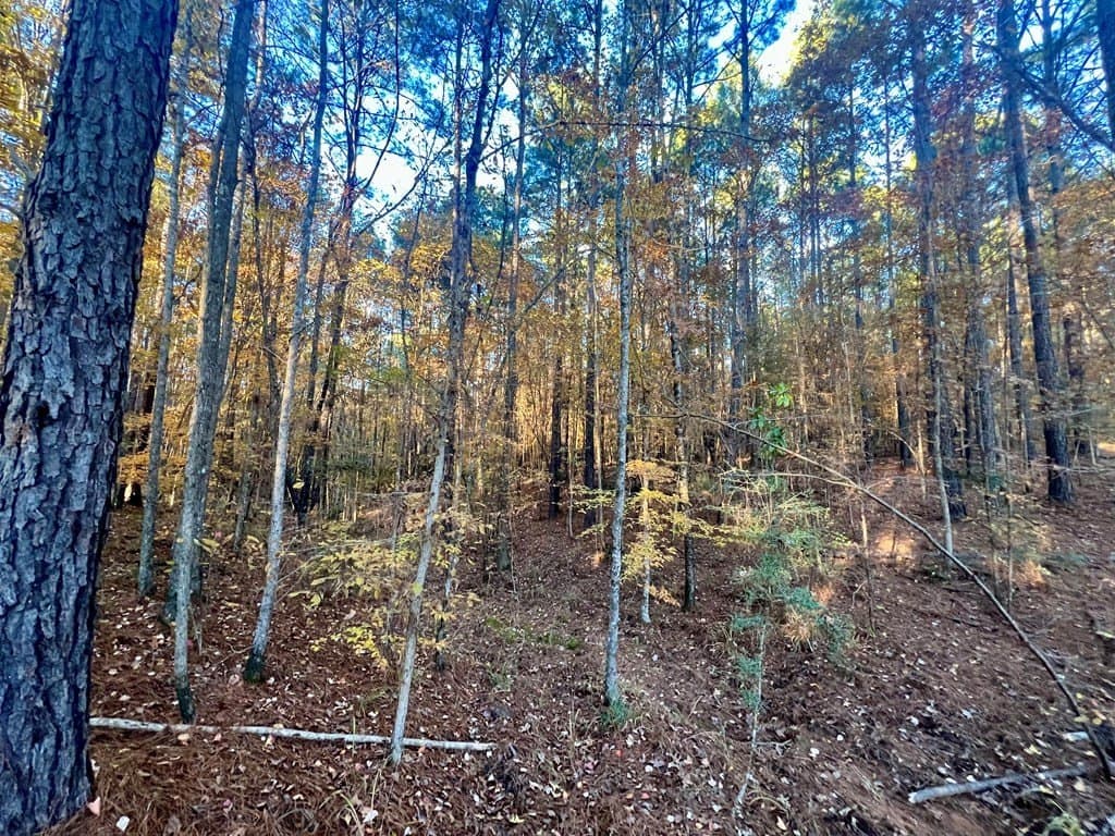 15 acres in Texas County - photo 33