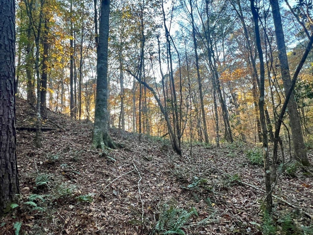 15 acres in Texas County - photo 28