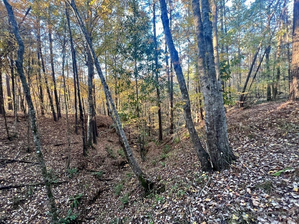 15 acres in Texas County - photo 23