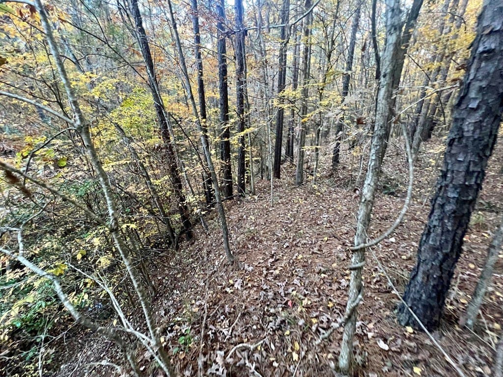 15 acres in Texas County - photo 19