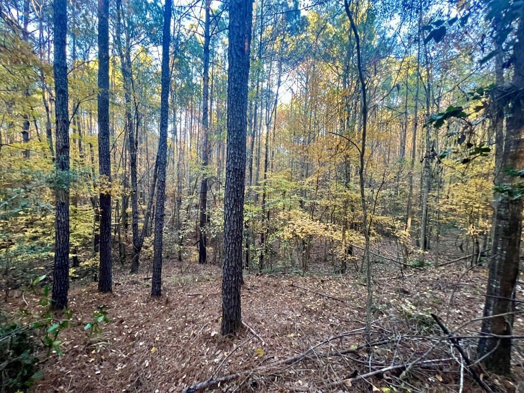 15 acres in Texas County - photo 10