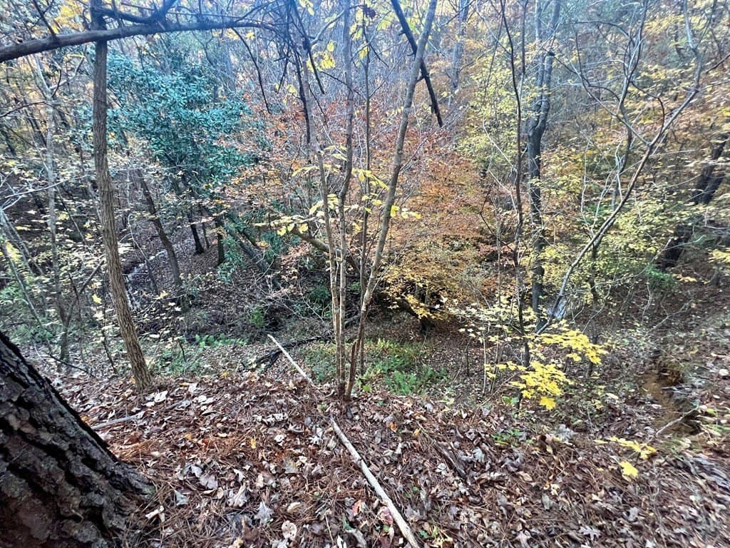 15 acres in Texas County - photo 17