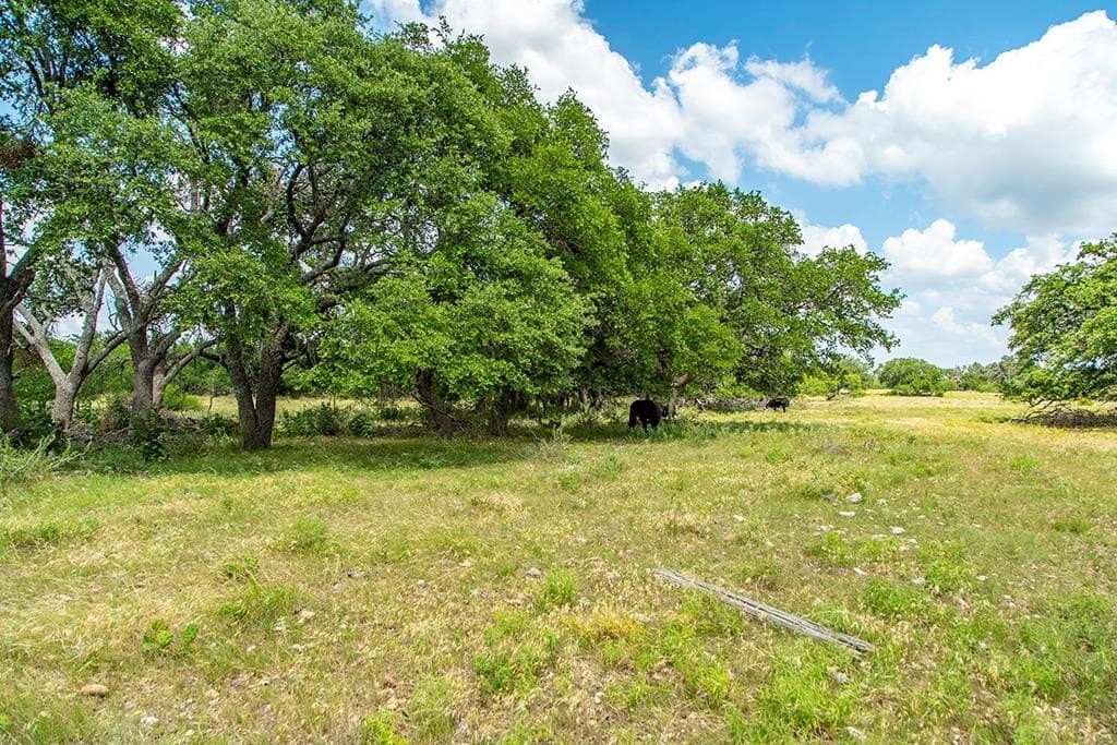 14.85 acres in Gillespie County