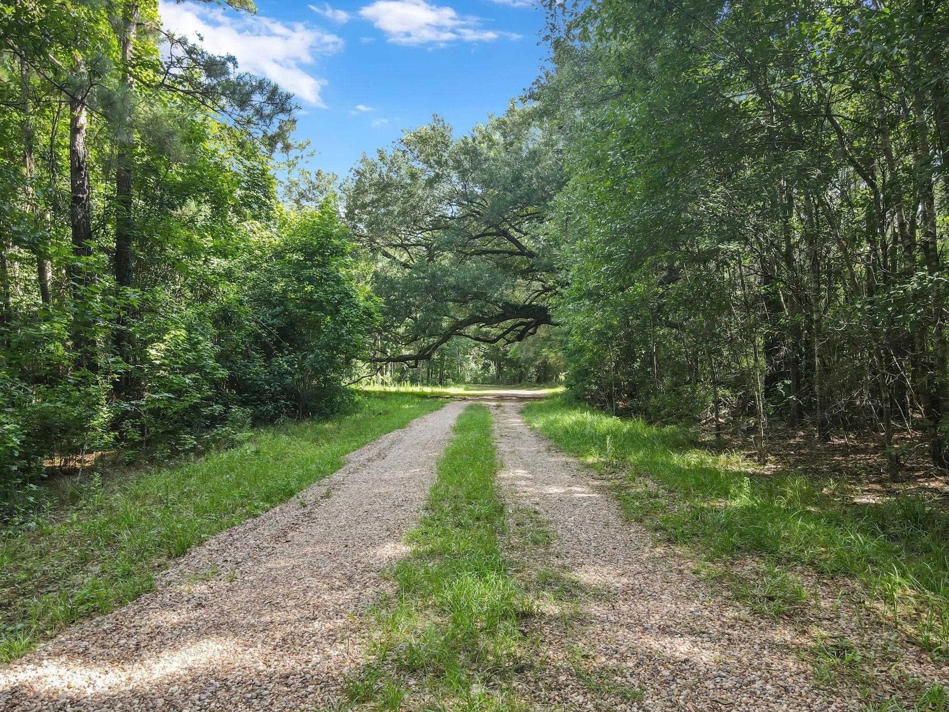 43.79 acres in Texas County - photo 7