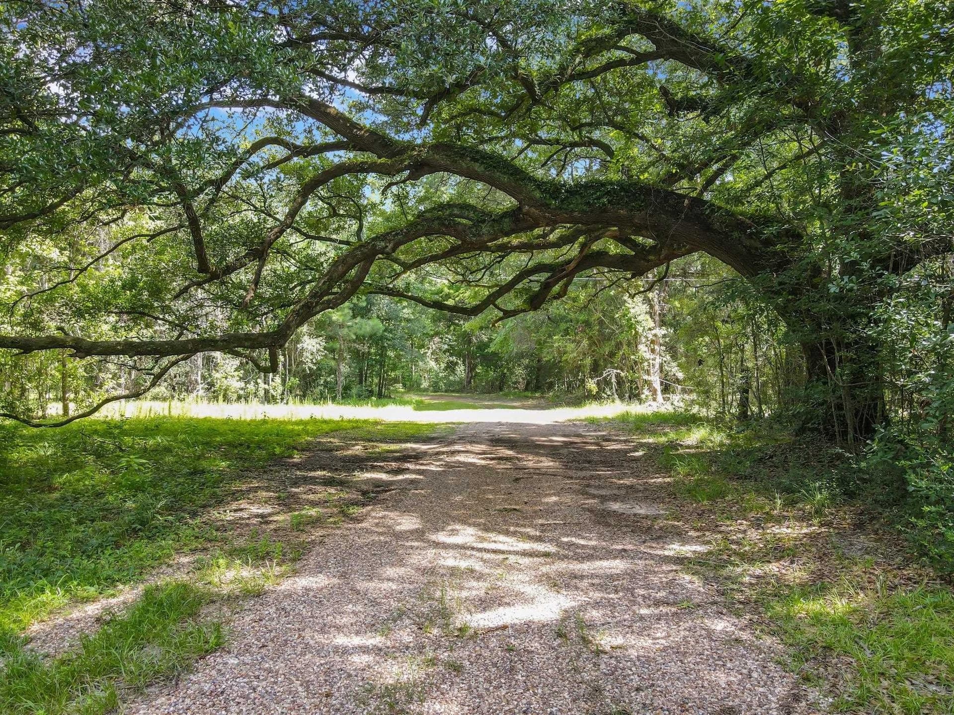 43.79 acres in Texas County - photo 6