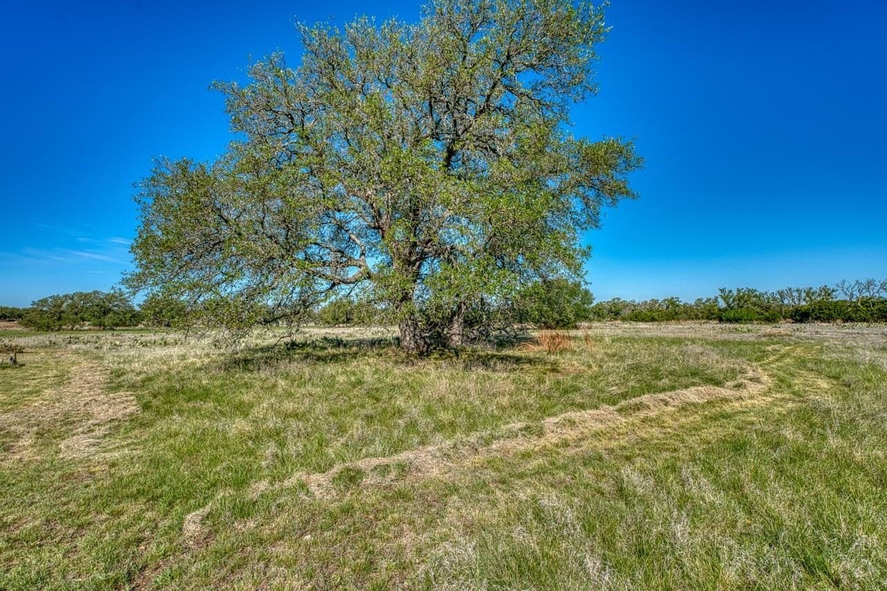 11 acres in Burnet County - photo 30