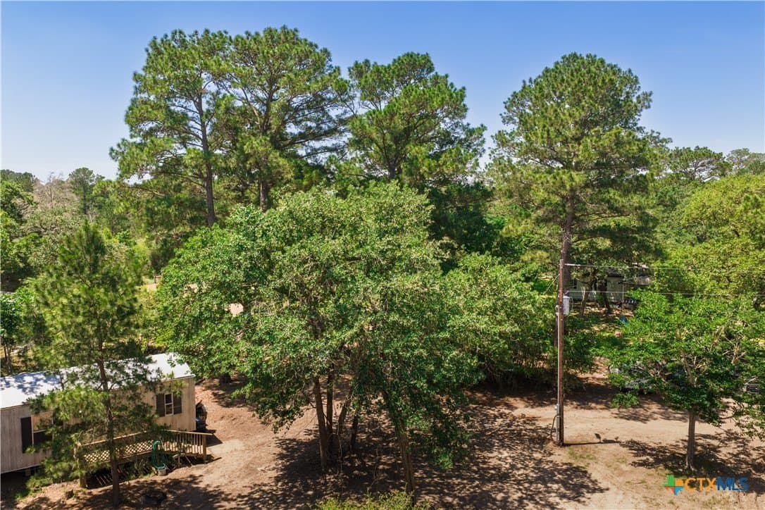 13.05 acres in Bastrop County featured view