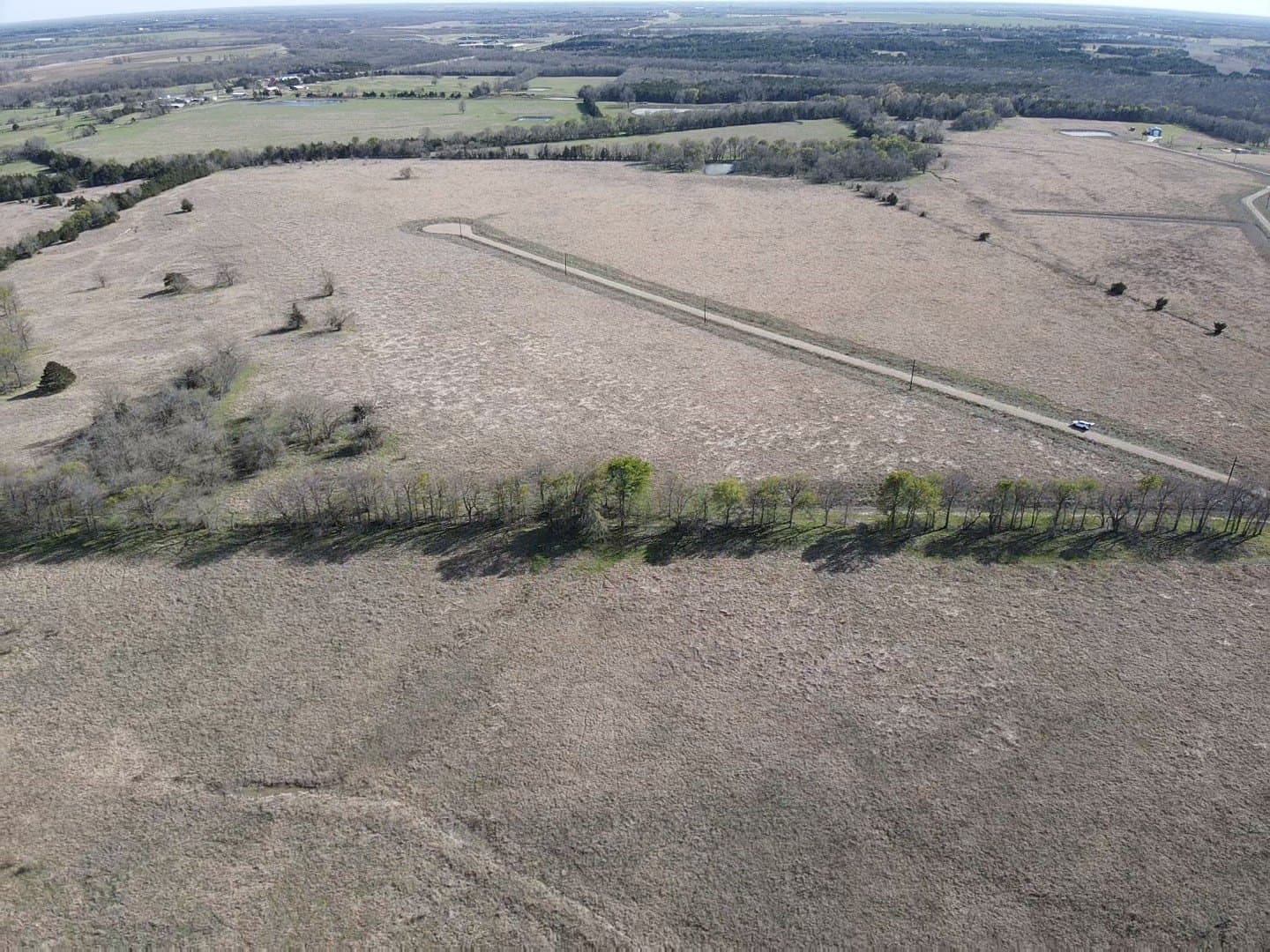 10.01 acres in Lamar County gallery image 3
