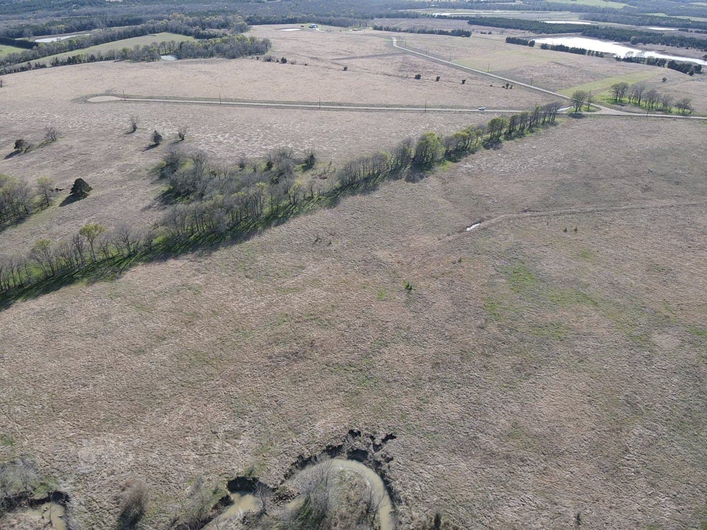10.01 acres in Lamar County gallery image 4